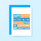 Funny Brother-in-Law Birthday Card by SixElevenCreations. Reads Happy birthday brother-in-law. Another year of surviving my brother. Product Code SE0199A6